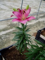 [1689 JazzItUp DJ No02.JPG]